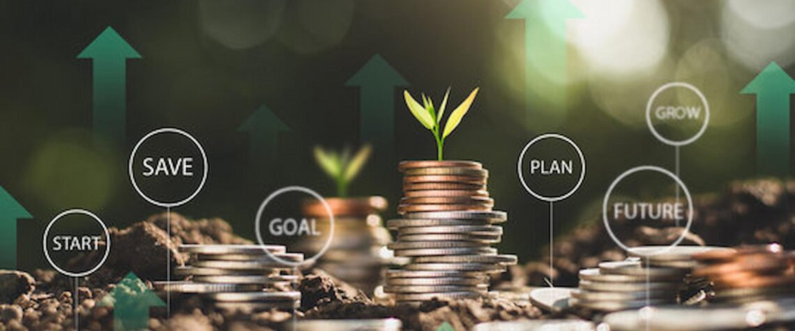 Wealth Preservation