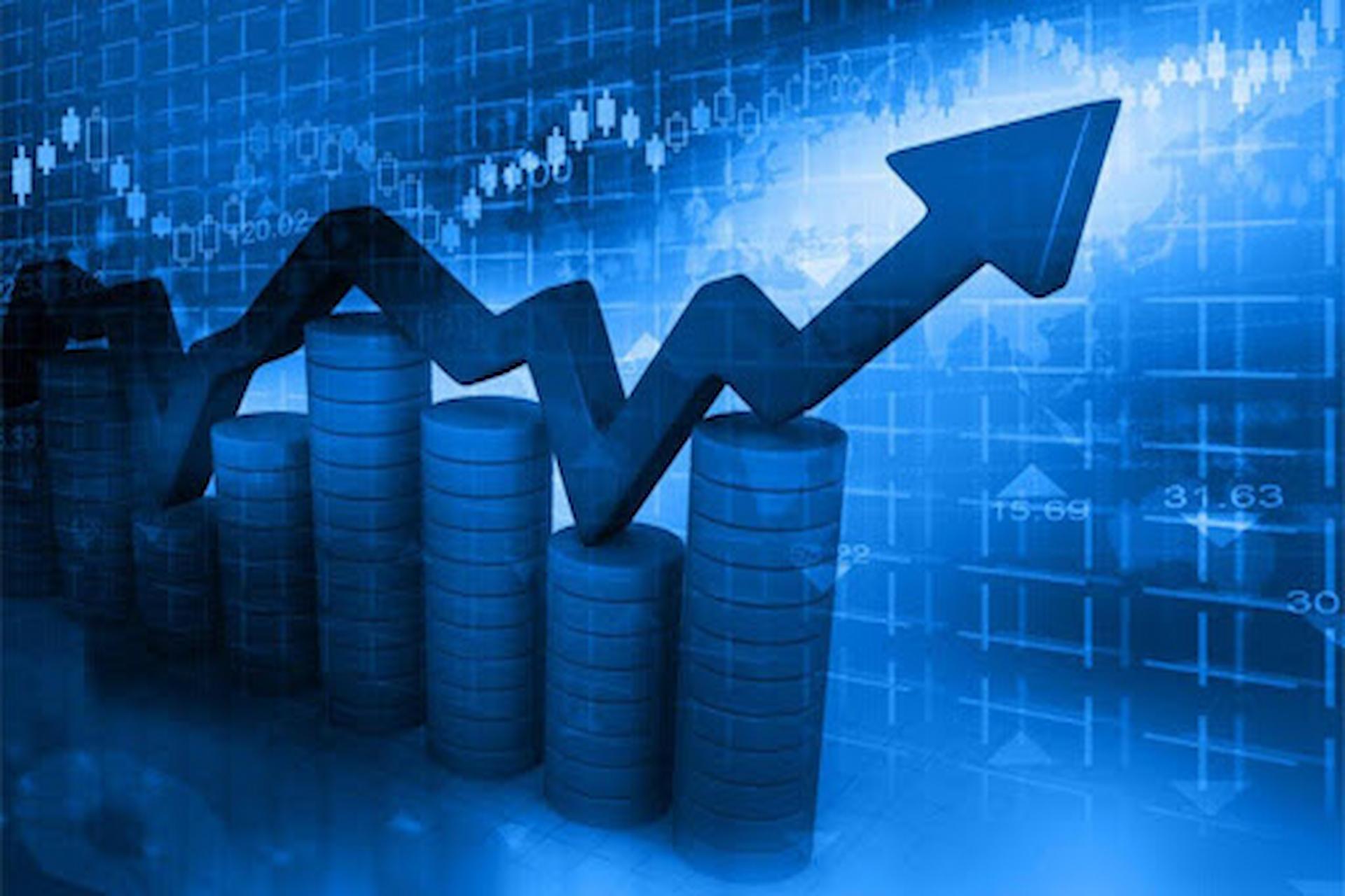Investor